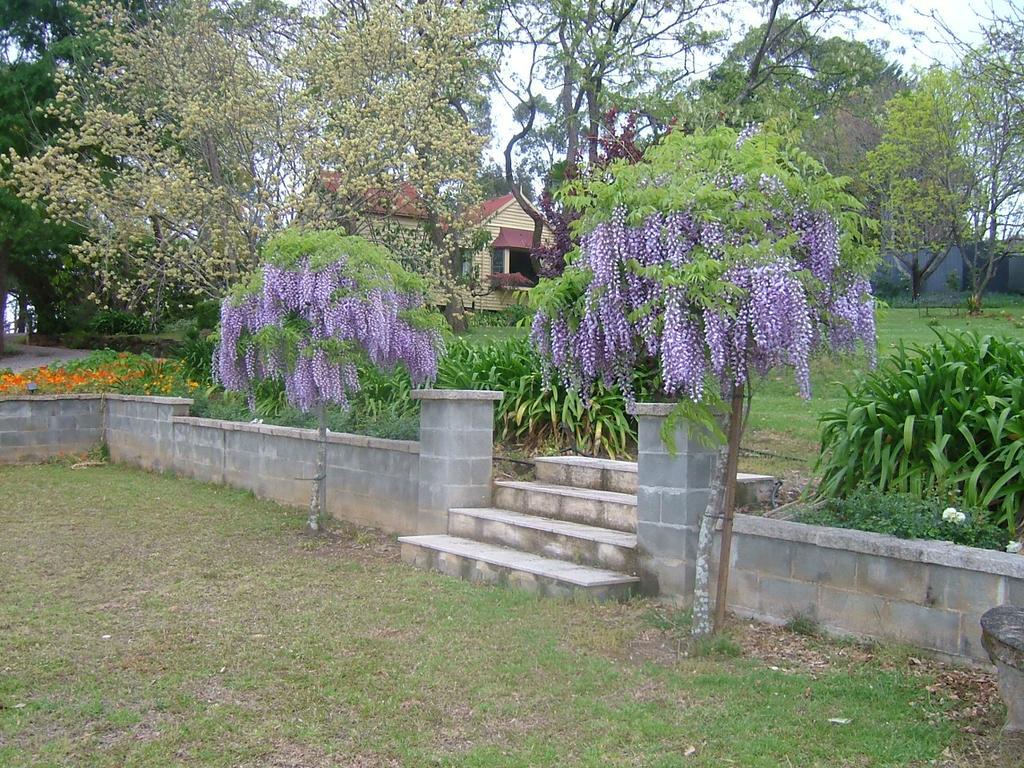 Hermitage Cottage Kurrajong Exterior photo